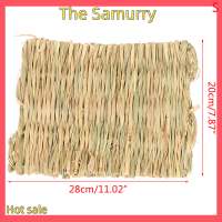 Samurry ✨Hot Sale✨ Car แผ่นรองเคี้ยวหญ้ากระต่ายแผ่นปูเตียงกรงหมูหนูแฮมสเตอร์กินีขนาดเล็ก