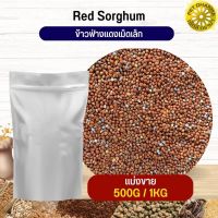 ฟ่างแดงเม็ดเล็ก Red Sorghum อาหารนก กระต่าย หนู กระต่าย ชูก้า และสัตว์ฟันแทะ สะอาดได้คุณภาพ(แบ่งขาย 500G / 1KG)