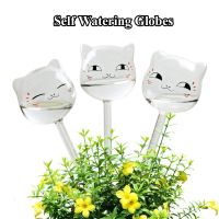 【CW】 3pcs Shaped Watering Globes Devices Glass Bulbs Waterer System