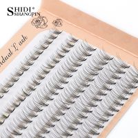 ☢∏ 6 Rows 120 Bundles Eyelash Extension Natural Russian Volume Faux Cils Eyelashes Individual 10/20/30D Cluster False Lashes Makeup