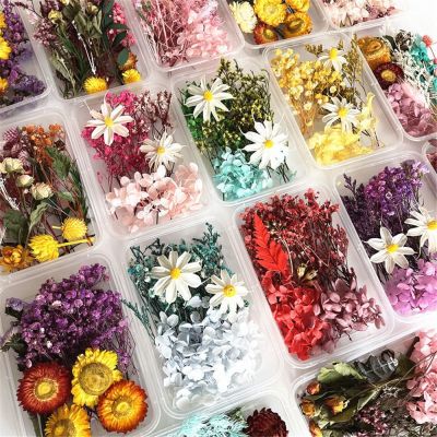 [AYIQ Flower Shop] 1กล่องดอกไม้แห้งนิรันดร์แห้งจริงพืชทำกรอบรูปของที่ระลึกบ้านเทศกาลตกแต่ง DIY วันเกิดวาเลนไทน์หัตถกรรม Gift