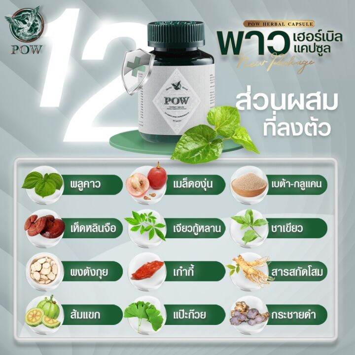 pow-herbal-capsuleพาวเฮอร์เบิลแคปซูลโฉมใหม่ของแท้ส่งฟรี-6กระปุก-ราคาเพียง-3-380พาวสมุนไพรพลูคาวสกัดเข้มข้นผสมสมุนไพรอื่นอีกหลายชนิด