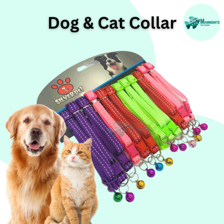Dog and Cat Collar Adjustable Collar for Pets Lazada PH