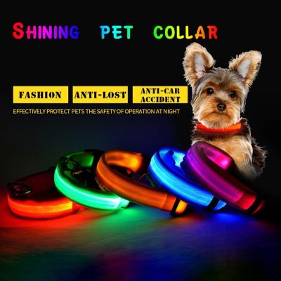 [HOT!] Shining Pet Dog Collar LED Light Pet Collar Traction Flashing Safe Adjustable Belt Anti LostAvoid Car Accident Night Decoration