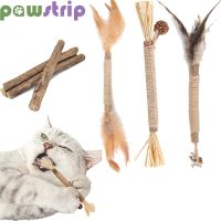 Pet Cat Snacks Sticks Natural Wooden Polygonum Stick Bite Resistance Molar Stick Catnip Cat Tooth Cleaning Toys Pet Supplies Toys