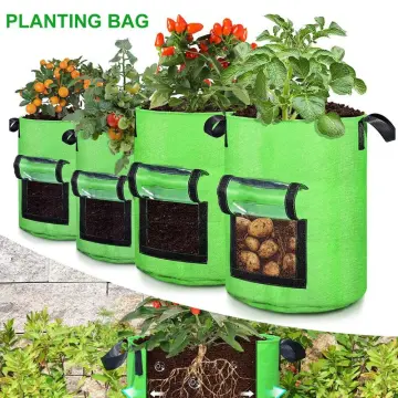 Discover 149+ grow bags for terrace garden - xkldase.edu.vn