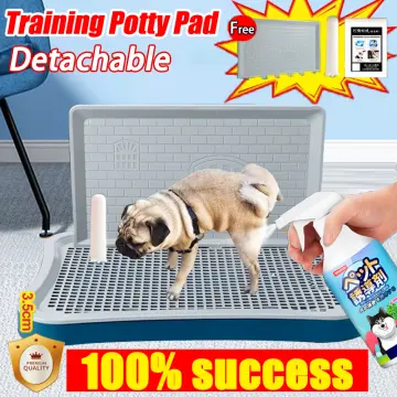 Girl shop pee pad