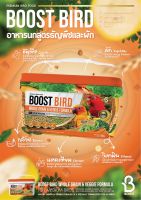 BOOST BIRD WHOLE GRAIN &amp; VEGGIE FORMULA อาหารนกสูตรพิเศษ ผสมธัญพืชและผัก 1 kg.