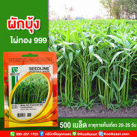 พันธุ์ผักบุ้งจีนใบไผ่ ไผ่ทอง 999 ซีดไลน์ 500 เมล็ดพันธุ์ ผักบุ้งจีนใบไผ่ คุณภาพดี งอกดี ปลูกง่าย โตไว คูลเกษตร KS21