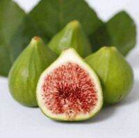 10 เมล็ด เมล็ดมะเดื่อฝรั่ง Figs สายพันธุ์ Violet de Bordeaux (วีดีบี) ของแท้ 100% มะเดื่อฝรั่ง หรือ ลูกฟิก (Fig) อัตราการงอก 70-80% Figs seed