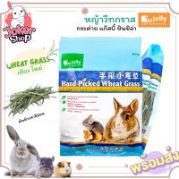 ❗️❗️ SALE ❗️❗️ หญ้าวีทกราส wheat grass สำหรับกระต่าย แก๊สบี้ ชินชิล่า 350 เขียว ใหม่ !! อาหารสัตว์เลี้ยงขนาดเล็ก Small Pet Food มาตรฐาน โค้งสุดท้าย บริการเก็บเงินปลายทาง ราคาถูก คุณภาพดี โปรดอ่านรายละเอียดก่อนสั่ง