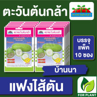 ผักซอง ตะวันต้นกล้า SP เมล็ดพันธุ์ พันธุ์ผัก แฟงไส้ตัน บ้านนา บรรจุแพคล่ะ 10 ซอง ราคา 64 บาท