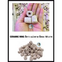 Ceramic Ring สีขาว แบ่งขาย ขีดละ 10 บาท (เซรามิคริง มีรูพรุนสูง ใช้เป็นที่อยู่ของจุลินทรีย์ )