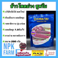 ข้าวโพดข้าวเหนียวสีม่วง ซูพรีม ขนาด 200 กรัม ลอตใหม่ งอกดี เจียไต๋ ข้าวโพดม่วงทับทิม เหนียวม่วง รสชาติหวาน เหนียว นุ่ม ขายง่าย ผลผลิตสูง