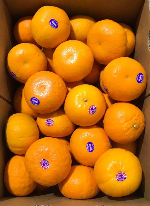 ส้ม-ส้มแมนดาริน-ออสเตรเลีย-2ph-กล่องเหลือง-aus-9-kg-ลัง-ลังละ-56-ลูก