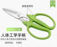 กรรไกรตัดกิ่งไม้ กรรไกรแต่งกิ่ง กรรไกรแต่งพุ่ม กรรไกรแต่งสวน Stainless steel scissors กรรไกรตัดกิ่ง กรรไกรตัดหญ้า กรรไกรตัดตกแต่งกิ่งไม้