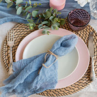 Birthday Holiday Napkins 20 Sheets 17*17 Inches 100 Cotton Napkins Blue Pink Linen Towel Raw Edge Placemats Made of