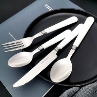 【CW】 Dinnerware Set Handle Dinner Tableware   Cutlery Knives - 4pcs/set Aliexpress