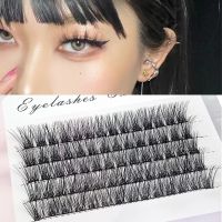 Individual Lashes 3D Fluffy Single Cluster False Lashes Premade Volume 60-120 Fans Segmented Natural Long Lash Eyelash Extension