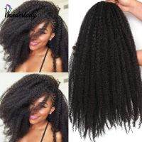 WonderLady Crochet Braids Afro Kinky Marley Braiding Hair Extensions Ombre Sythetic Hair For Women Natural Black Brown 24Strands Hand Tool Parts Acces