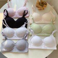 เสื้อชั้นในผ้าฝ้ายบางไม่มีแหวนเหล็ก บราผู้หญิง girl bra