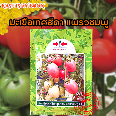 มะเขือเทศสีดา แพรวชมพู เมล็ดพันธุ์ 20 ก.(2,000) เมล็ด ตราศรแดง