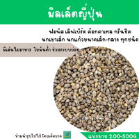 มิลเล็ตญี่ปุ่น (แบ่งขาย 200-500G.) นกขนาดเล็กทุกสายพันธุ์