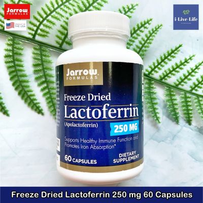 แลคโต เฟอริน แลคโต เฟอร์ริน Freeze Dried Lacto ferrin 250 mg 60 Capsules - Jarrow Formulas