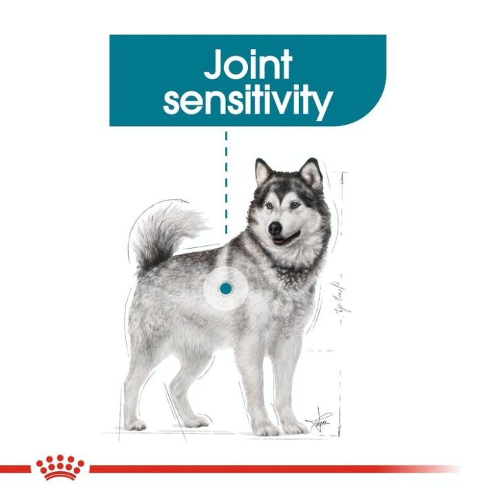 royal-canin-maxi-joint-care-3kg-อาหารสุนัข-สูตรบำรุงข้อต่อ-สำหรับสุนัขพันธุ์ใหญ่