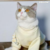 จัดส่งฟรี TRIPLE SHIRT (เสื้อสำหรับน้องหมาน้องเเมว) pet