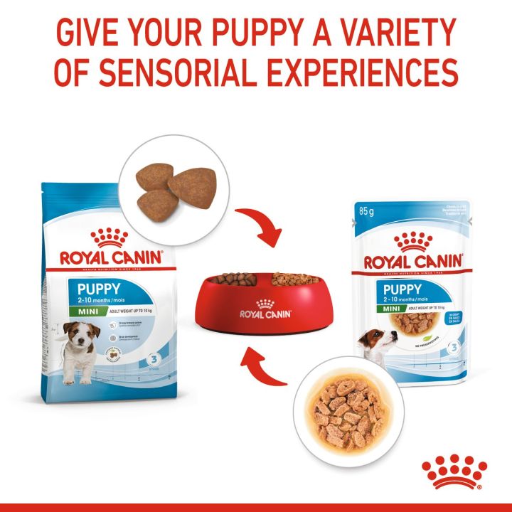 royal-canin-mini-puppy-โรยัล-คานิน-อาหารเม็ดลูกสุนัข-พันธุ์เล็ก-อายุ-2-10-เดือน-4-กก-อาหารเปียกลูกสุนัข-พันธุ์เล็ก-85-ก-x-12-ซอง