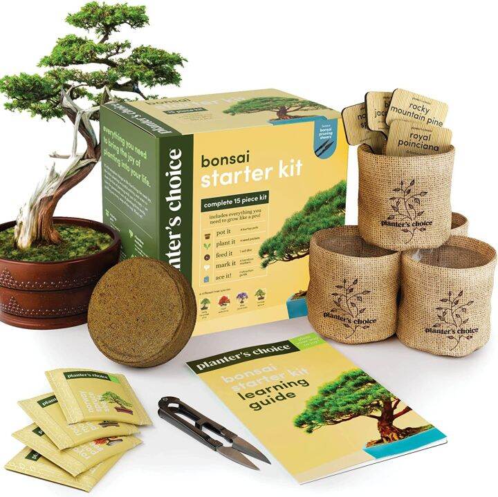 Planter's Choice Bonsai Starter Kit Complete 15 Piece Kit With Bonsai ...