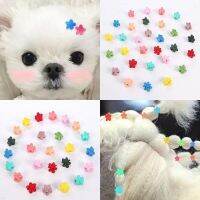 20-100pcs/Set Pet Dog Hairpins Cute Colorful Flower Hair Claws For Girls Sweet Headband Yorkshire Hair Clips Hair Accessories