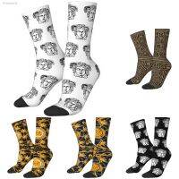 ✸ New Male Men Socks Harajuku Greek Myth Gorgons Medusa Head Sock High Quality Women Sock Spring Summer Autumn Winter