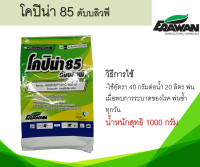 โคปิน่า 85 ดับบลิวพี คอปเปอร์ออกซีคลอไรด์ สารป้องกันแและกำจัดโรคพืช น้ำหนักสุทธิ 1กิโลกรัม