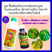 ชุด ฟื้นต้นทุเรียน กระตุ้นการแตกยอดและใบอ่อนทุเรียน สาหร่ายเขียว ไดมาร์ 1L+ หยดเขียว สังกะสี+อโทนิค ทนสภาพอากาศหนาว เพิ่มสังเคราะห์แสง