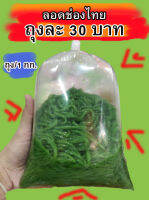 ลอดช่องไทย (ตัวเล็ก)  สีเขียว by น้องยักษ์