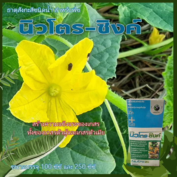 ธาตุสังกะสีชนิดน้ำสำหรับพืช-นิวโตรซิงค์