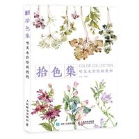 U Color Collection Beautiful Plants Flower Watercolor Illustration Painting Drawing Art Book For Beginner