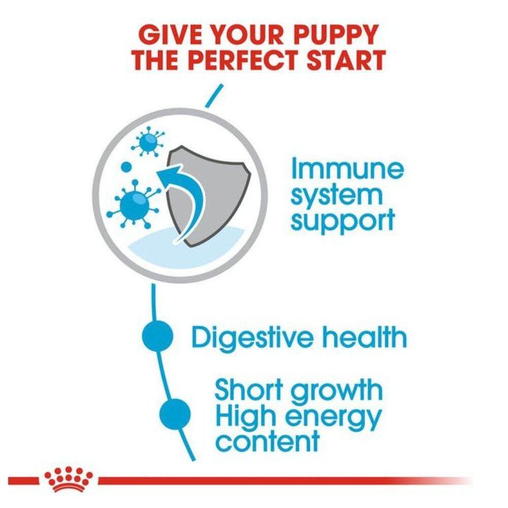 royal-canin-medium-puppy-cat-food-อาหารเปียกลูกสุนัข-พันธุ์กลาง-อายุ-2-ถึง-12-เดือน-140-กรัม