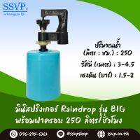 มินิสปริงเกอร์ รุ่น BIG พร้อมฝาครอบพีวีซี ขนาด 1/2" ปริมาณน้ำ 250 ลิตร/ชั่วโมง รัศมีการกระจายน้ำ 3-4.5 เมตร รหัสสินค้า BIG-250-CO50