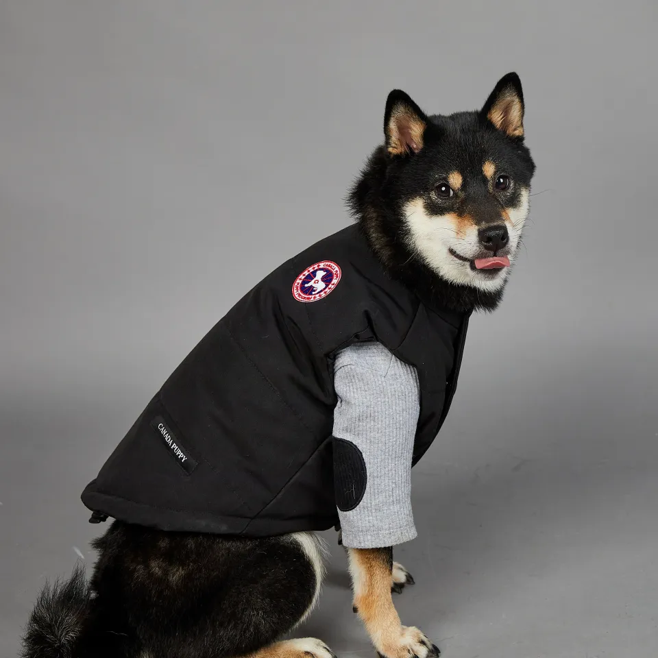 Canada goose 2025 dog jacket quilt