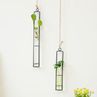 Modern Minimalist Home Glass Test Tube Wall Plant Hanging Pot Hydroponic Container Living Room Bedroom Decoration Vase Pendant