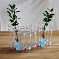 ¡Helder Glas Vaas Buizen Set Bloemhouder Plant Container Bloemenvazen Voor Huisdecoratie Desktop Ornament 2023ใหม่