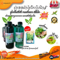 ปุ๋ยไฮโดรโปนิกส์ ปุ๋ยผักสลัด 250ml ปุ๋ยไฮโดรโปนิกส์น้ํานิ่ง ปุ๋ยผักHydroponics ปุ๋ยสารละลายเอบี (แถมฟรีเมล็ดผัก)