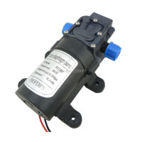 60W 5Lmin 72.5psi diaphragm high pressure mini 12v 24 volt dc water pump self priming