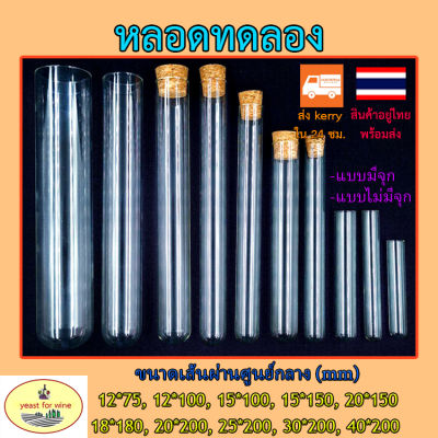 หลอดทดลอง test tube