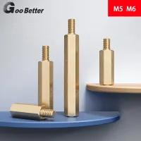 M5 M6 Extra Long Brass Studs Column Hex Male-Female Standoff Spacer Motherboard Thread Pillar