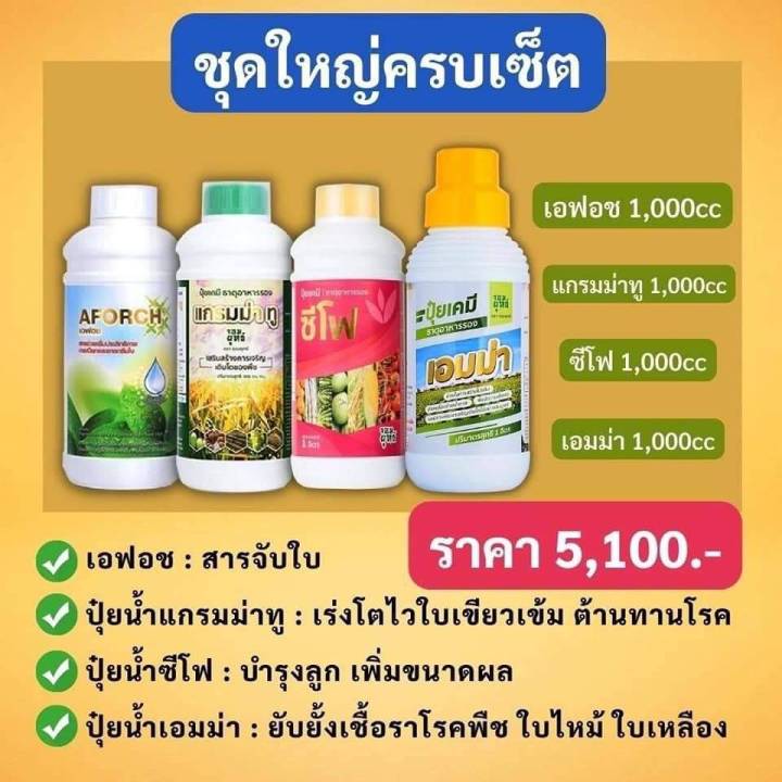 ปุ๋ยน้ำ-แกรมม่าทู-ขนาด-1000-ซีซี-ปุ๋ยน้ำทางใบ-สูตรเร่งการเจริญเติบโต-ปุ๋ยน้ำเร่งราก-ปุ๋ยน้ำฉีดมัน-ปุ๋ยน้ำเร่งหัว-ปุ๋ยน้ำบำรุงใบ-ปุ๋ยน้ำ