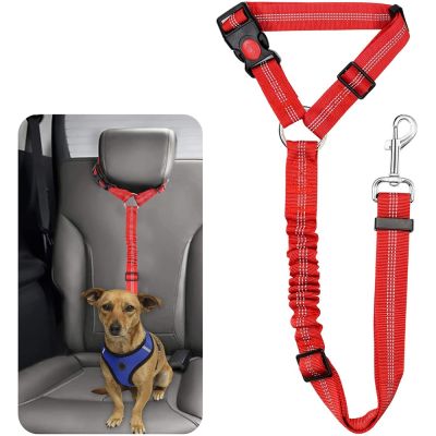 【LZ】 Dog Car Seat Belt Dog Tether for Vehicle Pet Safety Leads Elastic Bungee Backseat Leash for Dog Harness Collar Travel Daily Use